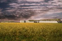 Friedhof der Zukunft